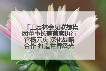 王忠林会见联想集团董事长兼首席执行官杨元庆 深化战略合作 打造世界级光电子信息产业集群