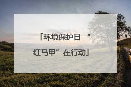 环境保护日 “红马甲”在行动