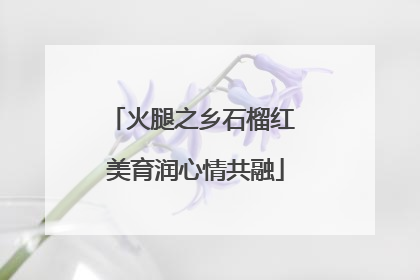 火腿之乡石榴红 美育润心情共融