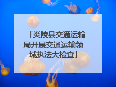炎陵县交通运输局开展交通运输领域执法大检查