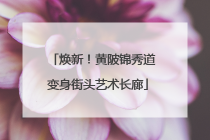 焕新！黄陂锦秀道变身街头艺术长廊