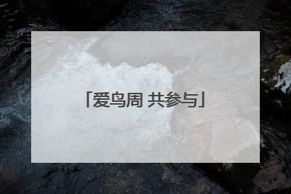爱鸟周 共参与