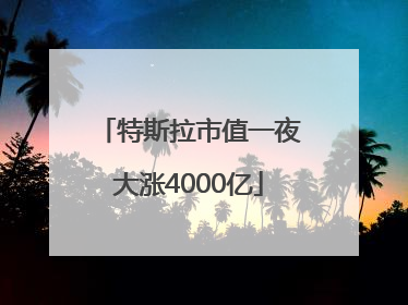 特斯拉市值一夜大涨4000亿