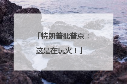 特朗普批普京：这是在玩火！