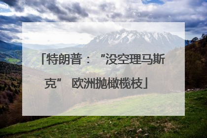 特朗普：“没空理马斯克” 欧洲抛橄榄枝