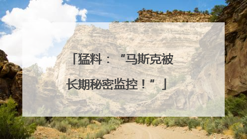 猛料：“马斯克被长期秘密监控！”
