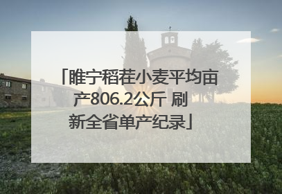 睢宁稻茬小麦平均亩产806.2公斤 刷新全省单产纪录