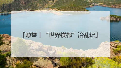 瞭望丨“世界镁都”治乱记