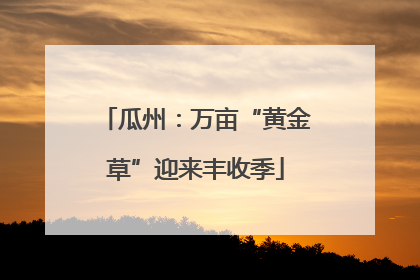 瓜州：万亩“黄金草”迎来丰收季