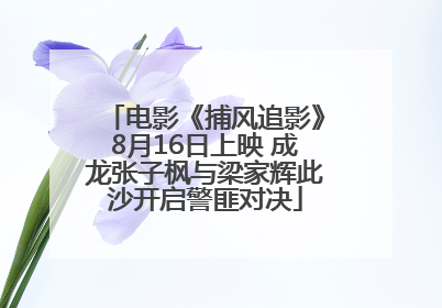电影《捕风追影》8月16日上映 成龙张子枫与梁家辉此沙开启警匪对决