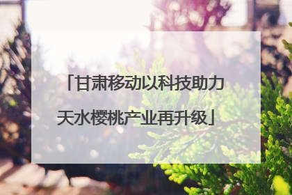 甘肃移动以科技助力天水樱桃产业再升级