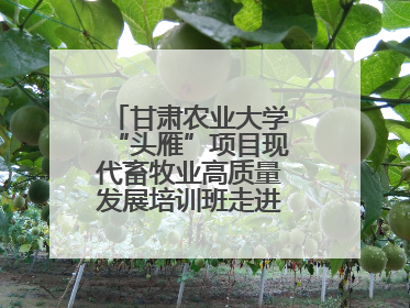 甘肃农业大学“头雁”项目现代畜牧业高质量发展培训班走进榆林榆阳区