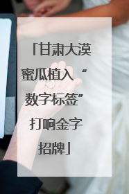 甘肃大漠蜜瓜植入“数字标签” 打响金字招牌