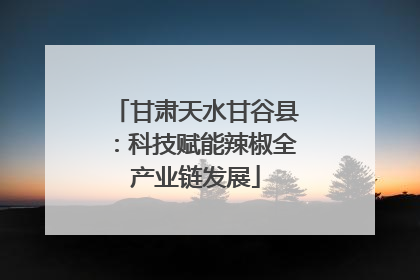 甘肃天水甘谷县：科技赋能辣椒全产业链发展