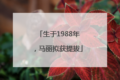 生于1988年，马丽拟获提拔