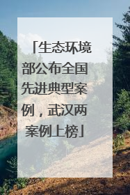 生态环境部公布全国先进典型案例，武汉两案例上榜