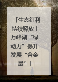 生态红利持续释放丨万峰湖“绿动力”提升发展“含金量”