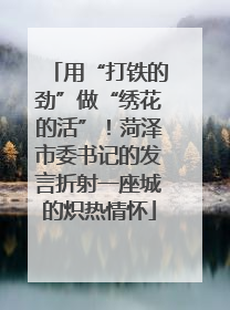 用“打铁的劲”做“绣花的活”！菏泽市委书记的发言折射一座城的炽热情怀