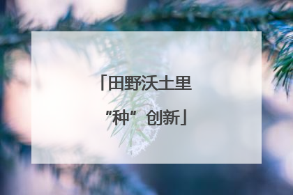 田野沃土里“种”创新