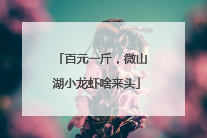 百元一斤，微山湖小龙虾啥来头