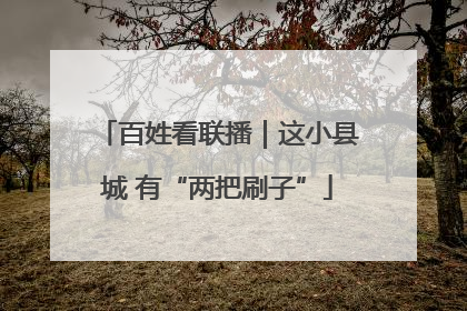 百姓看联播｜这小县城 有“两把刷子”