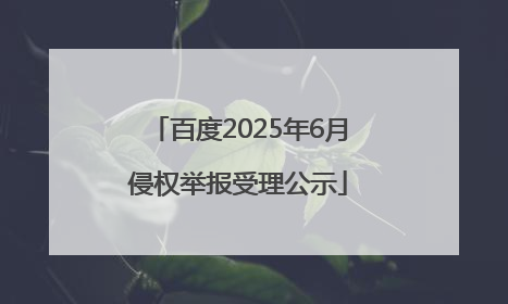 百度2025年6月侵权举报受理公示