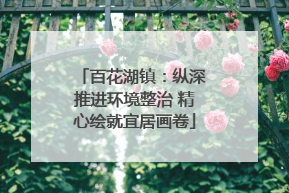 百花湖镇：纵深推进环境整治 精心绘就宜居画卷