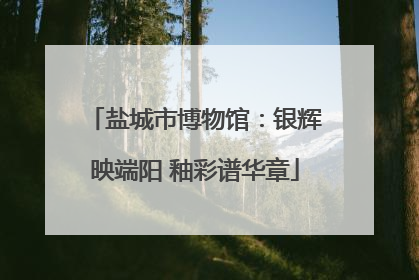 盐城市博物馆：银辉映端阳 釉彩谱华章