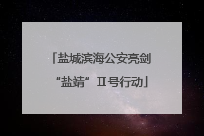 盐城滨海公安亮剑“盐靖”Ⅱ号行动