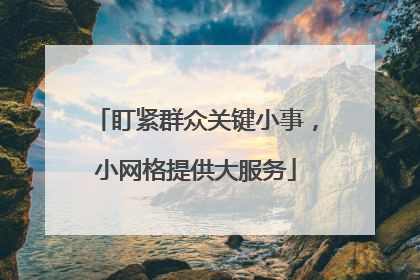 盯紧群众关键小事，小网格提供大服务