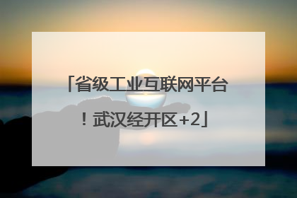 省级工业互联网平台！武汉经开区+2