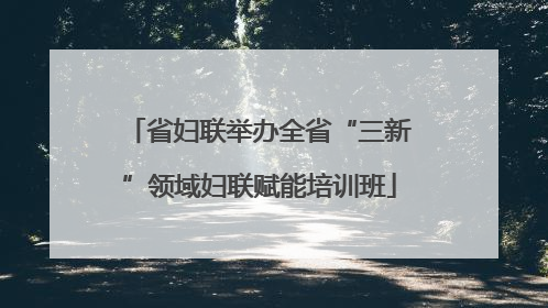 省妇联举办全省“三新”领域妇联赋能培训班