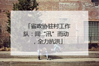 省政协驻村工作队：闻“汛”而动，全力抗洪