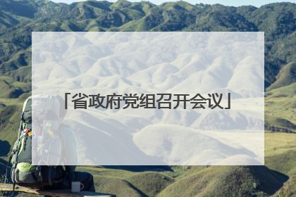 省政府党组召开会议