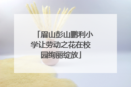 眉山彭山鹏利小学让劳动之花在校园绚丽绽放
