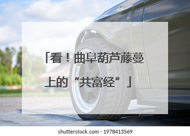 看！曲阜葫芦藤蔓上的“共富经”