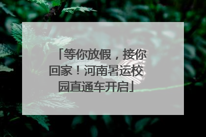 等你放假，接你回家！河南暑运校园直通车开启