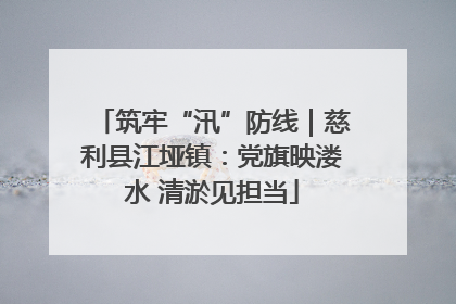 筑牢“汛”防线｜慈利县江垭镇：党旗映溇水 清淤见担当