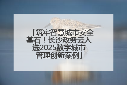 筑牢智慧城市安全基石！长沙政务云入选2025数字城市管理创新案例