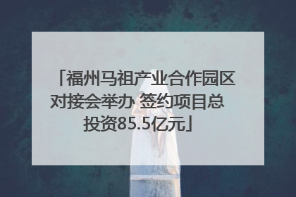 福州马祖产业合作园区对接会举办 签约项目总投资85.5亿元