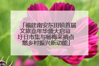 福建南安东田镇首届文旅嘉年华盛大启幕 圩日市集与杨梅采摘点燃乡村振兴新动能