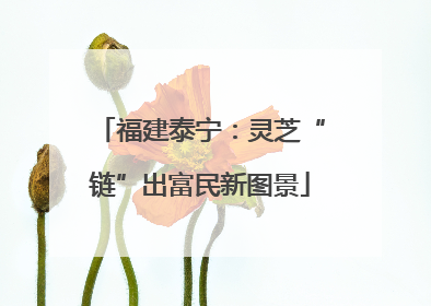 福建泰宁：灵芝“链”出富民新图景