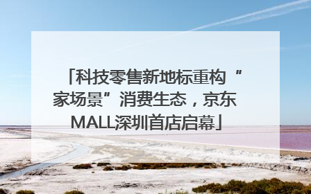 科技零售新地标重构“家场景”消费生态，京东MALL深圳首店启幕