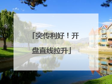 突传利好！开盘直线拉升
