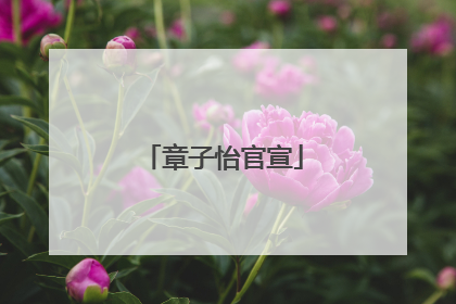 章子怡官宣