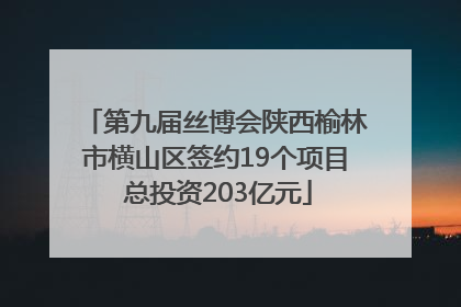 第九届丝博会陕西榆林市横山区签约19个项目 总投资203亿元