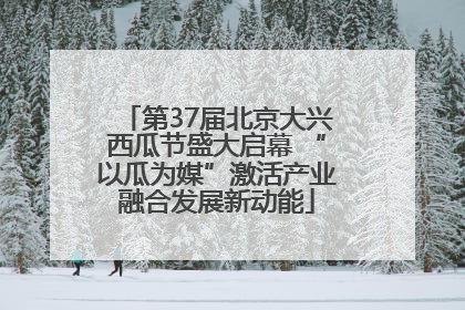 第37届北京大兴西瓜节盛大启幕 “以瓜为媒”激活产业融合发展新动能