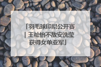 羽毛球印尼公开赛｜王祉怡不敌安洗莹 获得女单亚军