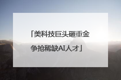美科技巨头砸重金争抢稀缺AI人才