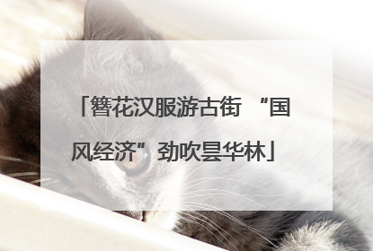 簪花汉服游古街 “国风经济”劲吹昙华林